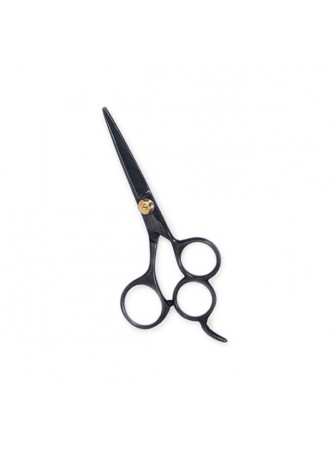 Professional Hair Cutting Scissors